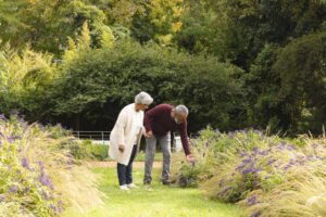Actividades en el exterior para personas mayores y Alzheimer